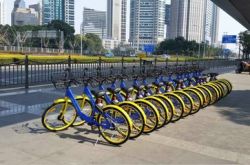 【6分钟教程】丽水市工厂咨询热线电话_哔哩哔哩